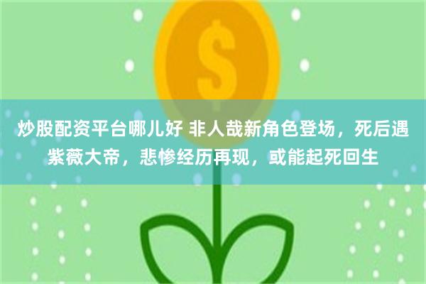 炒股配资平台哪儿好 非人哉新角色登场，死后遇紫薇大帝，悲惨经历再现，或能起死回生