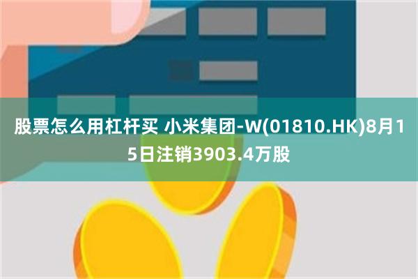 股票怎么用杠杆买 小米集团-W(01810.HK)8月15日注销3903.4万股