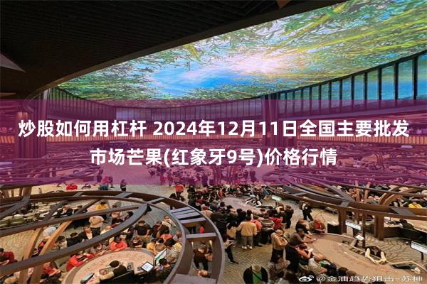 炒股如何用杠杆 2024年12月11日全国主要批发市场芒果(红象牙9号)价格行情