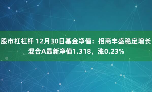 股市杠杠杆 12月30日基金净值：招商丰盛稳定增长混合A最新净值1.318，涨0.23%