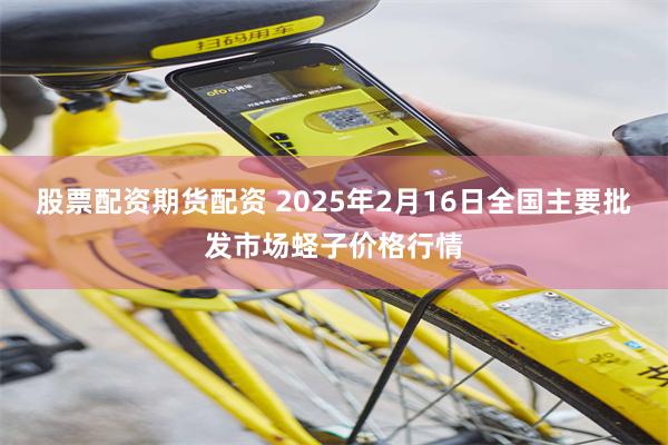 股票配资期货配资 2025年2月16日全国主要批发市场蛏子价格行情