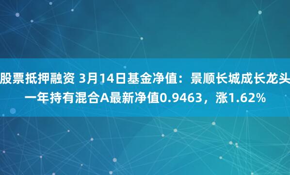 股票抵押融资 3月14日基金净值：景顺长城成长龙头一年持有混合A最新净值0.9463，涨1.62%